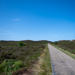 Sylt-2025_114_20250621