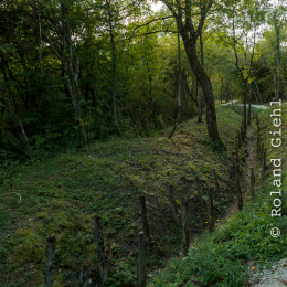 Verdun_20180915_0039