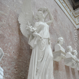 bayrischerwald_02052010_71