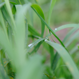 botanischer-garten-darmstadt_2010-09-18_15