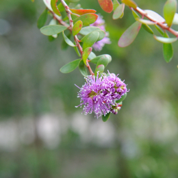 botanischer-garten-darmstadt_2010-09-18_10