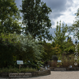 Botanischer_Garten_FFM_20140830_027