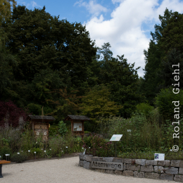 Botanischer_Garten_FFM_20140830_026