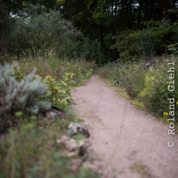 Botanischer_Garten_FFM_20140830_046