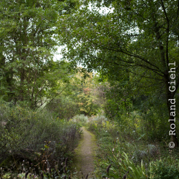 Botanischer_Garten_FFM_20140830_042