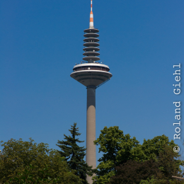 Bot. Garten Frankfurt Juli 2013