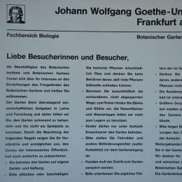 botanikgartenffm_07_2010-06-05