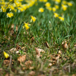 Botanischer-Garten-FFM_001_20220313
