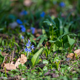 Botanischer-Garten-FFM_004_20220313