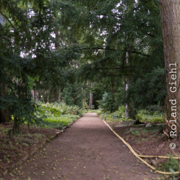 Botanischer-Garten-Mainz_20161002_045