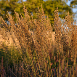 BuGa_Koblenz_2011-10-02_48