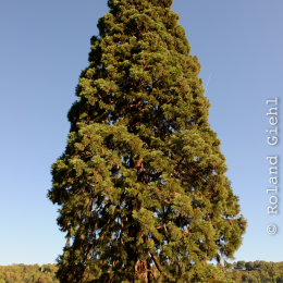 BuGa_Koblenz_2011-10-02_30