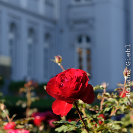 BuGa_Koblenz_2011-10-02_32