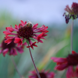 BuGa_Koblenz_2011-10-02_35