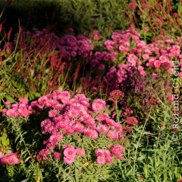 BuGa_Koblenz_2011-10-02_31