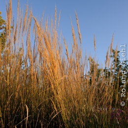 BuGa_Koblenz_2011-10-02_49