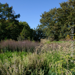 BuGa_Koblenz_2011-10-02_19