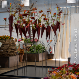 BuGa-2023_015_20230716