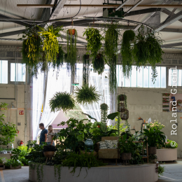 BuGa-2023_018_20230716