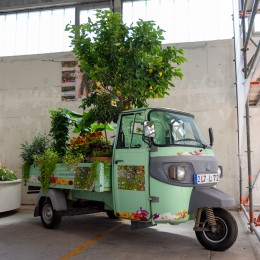 BuGa-2023_017_20230716