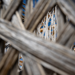 BuGa-2023_021_20230716