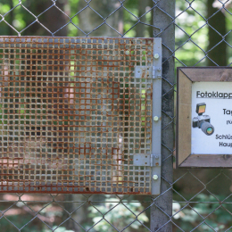 Fasanerie_Hanau_20150830_015