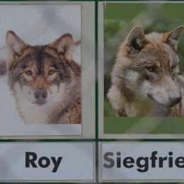 Fasanerie_Hanau_20150830_067