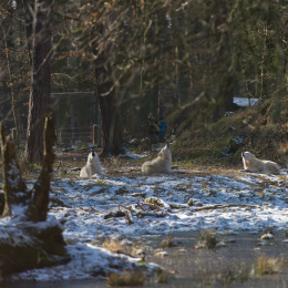 Fasanerie_Hanau-20130210-03