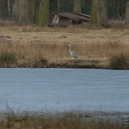 Fasanerie_Hanau_20170216_028