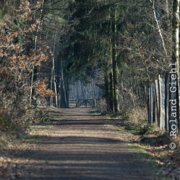 Fasanerie_Hanau_20170216_005