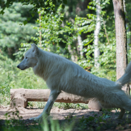 Fasanerie_Hanau_2012-07-24_16