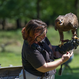 Fasanerie_Hanau-20130616-023
