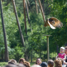 Fasanerie_Hanau-20130616-034