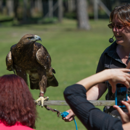 Fasanerie_Hanau-20130616-028