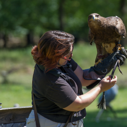 Fasanerie_Hanau-20130616-022
