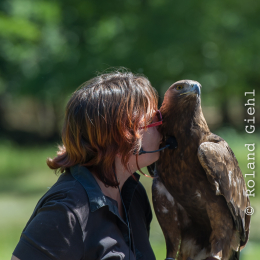 Fasanerie_Hanau-20130616-029