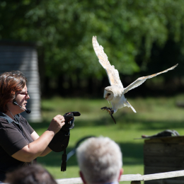 Fasanerie_Hanau-20130616-033