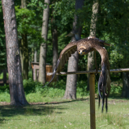 Fasanerie_Hanau-20130616-025