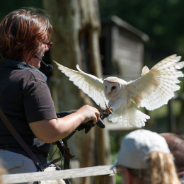 Fasanerie_Hanau-20130616-031