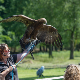 Fasanerie_Hanau-20130616-030