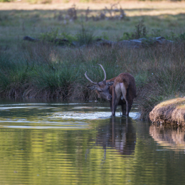 Fasanerie_Hanau_20190921_0018