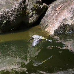 Fasanerie_Wiesbaden_2012-08-27_24