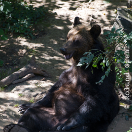 Fasanerie_Wiesbaden_2012-08-27_34
