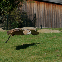 Gaiapark_2011-10-01_34