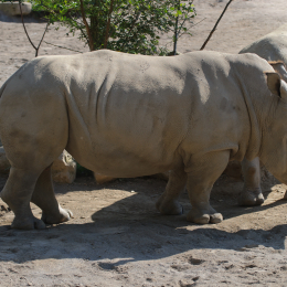 Gaiapark_2011-10-01_29