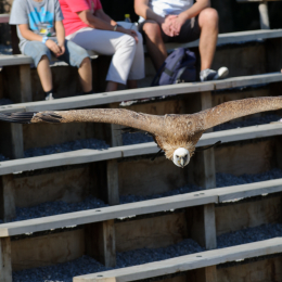 Gaiapark_2011-10-01_38