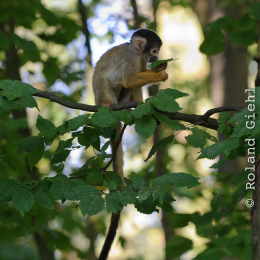 Gaiapark_2011-10-01_22