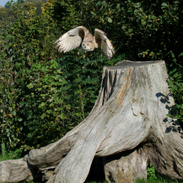 Gaiapark_2011-10-01_32