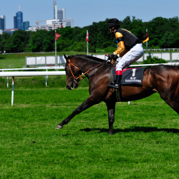 GaloprennenFFM_39_2010-06-03