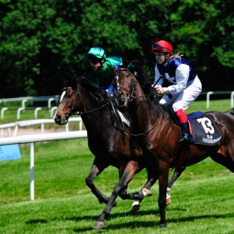 GaloprennenFFM_37_2010-06-03